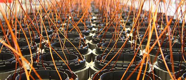 3-Phase Digital Brushless Motor
